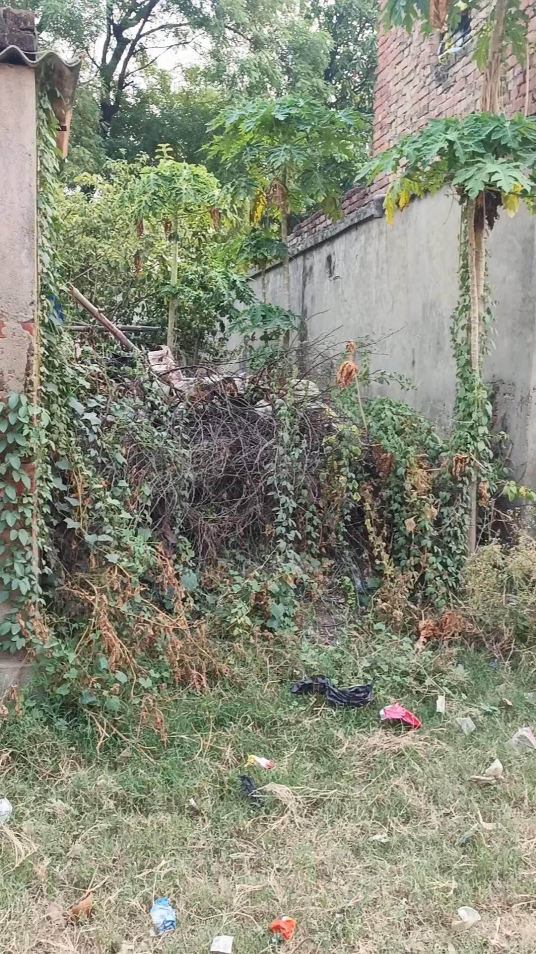 रास्ते को पूरी तरह बंद कर दिए श्याम प्यारे यादव ग्राम badaunva