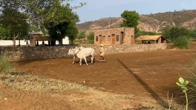 कृषि निरावही चतुर किसाना।
जिमि बुध तजहिं मोह मद माना।#57newskarauli