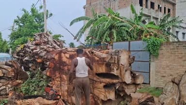महीनों से लोगों के लिए परेशानी बना बरगद का विशाल पेड़ अब हटेगा! 🌳⚠️
रोसड़ा नगर परिषद क्षेत्र में युवा समाजसेवियों की सक्रिय पहल रंग लाई। पेड़ हटाने के लिए लगभग ₹50,000 खर्च तय किया गया है। अब लोगों को राहत मिलने की उम्मीद।
#Rosera #BiharNews #RoseraNagarParishad #BreakingNews #ViralNews #Samastipur #BargadTree #LocalNews
