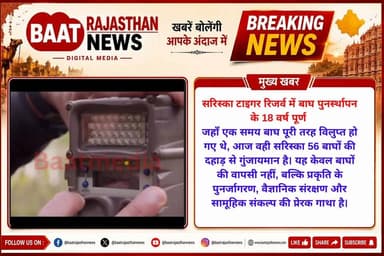 #alwar सरिस्का टाइगर रिजर्व में बाघ पुनर्स्थापन के 18 वर्ष पूर्ण होने पर देखिए प्रेरक कहानी
#sariska_alwar