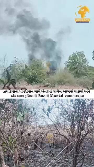 ઝઘડિયાના પીપરીપાન ગામે ખેતરમાં લાગેલ આગમાં પાઇપો અને એક લાખ રૂપિયાની કિંમતનો સિંચાઇનો