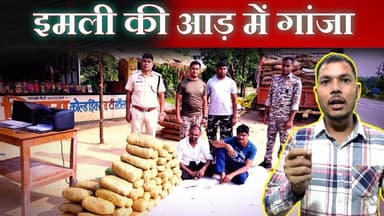 #sarangarh news : "12 टन इमली के नीचे छिपा था 94 किलो गांजा,,, पुलिस ने खोला तस्करी का राज"