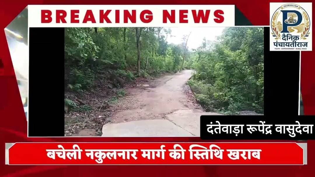 बचेली नकुलनार मार्ग की स्थिति खराब |@DainikPanchayatiraj #dantewadanews