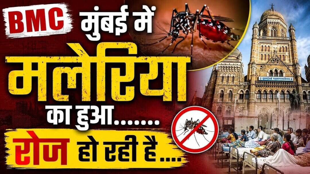 BMC मुंबई में मलेरिया का हुआ ......रोज हो रही.....#BMC #maleriya #mumbai_local