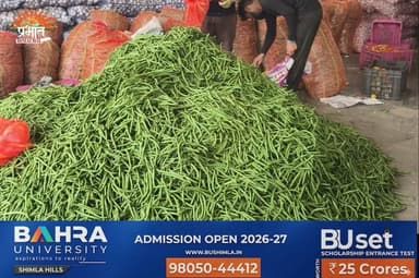 फ़्रांसबीन के दामों में जबरदस्त गिरावट, 30 जून को 28 रुपये प्रति किलो के हिसाब से बिकी
#Solan #SolanNews #SolanMandi #HimachalNews #HimachalFarmers #SabziMandi #MandiRates #LocalNews #फ्रांसबीन #FranceBeans #BeanPrice #VegetableMarket #MandiBhav #MandiUpdate #SolanMandi #HimachalMandi #KisanNews #Farmers #VegetablePrices #Agriculture #HimachalPradesh #FreshVegetables #MarketUpdate #30June2026 #BreakingNews #DailyMandi #Kisan #IndiaFarming