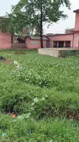 नाथनगर प्रखंड पंचायत बेलखोरिया स्कूल का यह वीडियो है डीएम से अनुरोध है यह बच्चे देश के भविष्य है विद्यालय पर ध्यान दें !