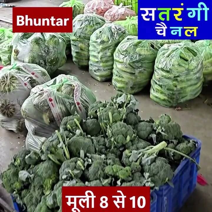 भुंतर और टकोली सब्ज़ी मंडी में आज दिनांक 30 जून को सब्ज़ियों और फ़लों के थोक भाव इस प्रकार रहे | देखें वीडियो ......
#bhuntarsubzimandi #takolisubzimandi