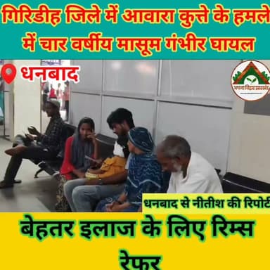 गिरिडीह जिले में आवारा कुत्ते के हमले में चार वर्षीय मासूम गंभीर घायल, बेहतर इलाज के लिए रिम्स रेफर #ABJ #Crime #dhanbad