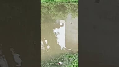 भारी बारिश से जलमग्न हुआ #देवरिया । #highlight #reel #viralvideo #news #deoria