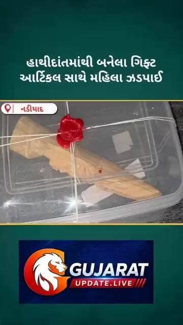 ખેડા SOG ની ટીમે હાથી દાંતમાંથી બનેલા ગિફ્ટ આર્ટીકલ સાથે મહિલાની કરી અટકાયત