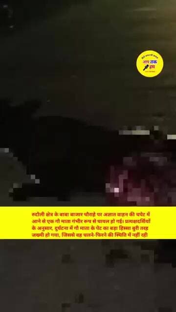 रुदौली अज्ञात वाहन की चपेट में आने से एक गौ माता गंभीर रूप से घायल हो गई। #shorts #aajtak#latestnews