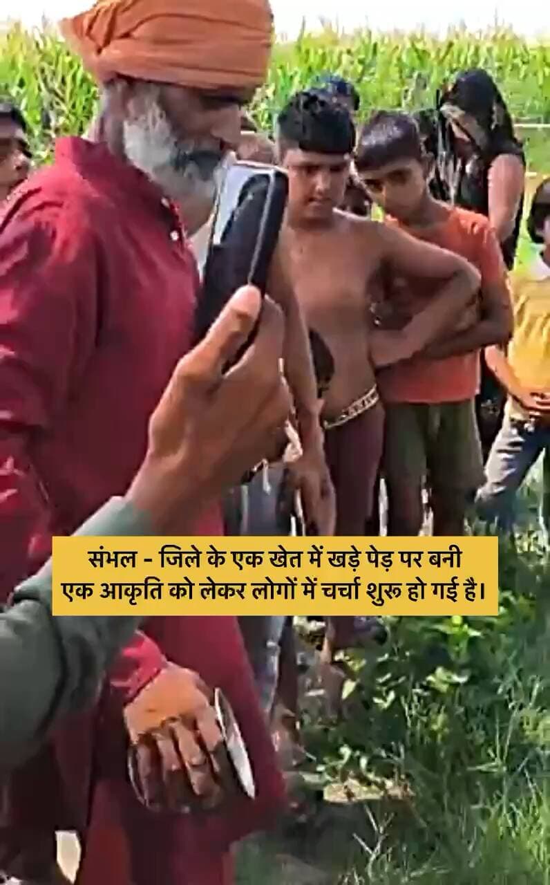 ● #संभल - जिले के एक खेत में खड़े पेड़ पर बनी एक आकृति को लेकर लोगों में चर्चा शुरू हो गई है। स्थानीय लोगों का दावा है