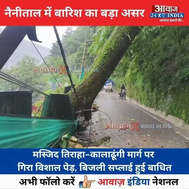 #नैनीताल में बारिश का बड़ा असर! स#ड़क पर गि#रा 100 साल पुराना पेड़, वन विभाग और बिजली विभाग मौके पर
#AwaazIndiaNational #Uttarakhand #Nainital #HeavyRain #NainitalWeather #ForestDepartment #ElectricityDepartment #latestnews