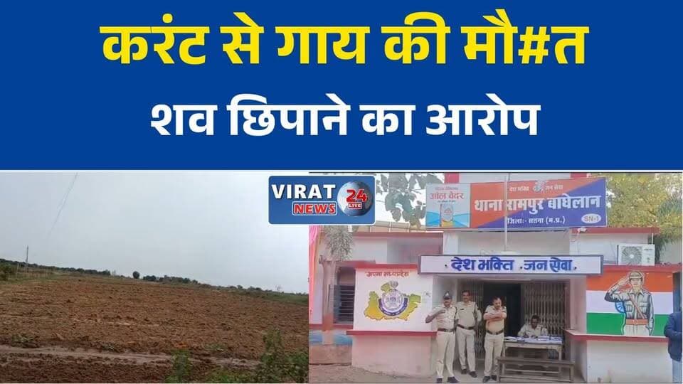 सतना में खेत में फैले करंट से गाय की मौत, शव छिपाने के आरोप से मचा बवाल
करंट की चपेट में आई गाय की मौत, ग्रामीणों ने आरोपी पर लगाए गंभीर आरोप
रामपुर बघेलान में गौमाता की मौत पर आक्रोश, सख्त कार्रवाई की मांग
गाय की मौत के बाद शव झाड़ियों में छिपाने का आरोप, पुलिस जांच में जुटी
सतना में खेत बना मौत का जाल! करंट से गाय की मौत, इलाके में तनाव#Satna #SatnaNews #RampurBaghelan #MadhyaPradesh #MPNews #CowDeath #ElectricShock #PoliceInvestigation #BreakingNews #HindiNews #GroundReport #PublicIssue #AnimalProtection #CrimeNews #NewsUpdate