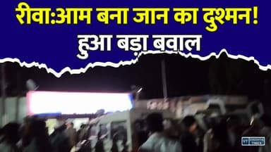 मऊगंज:एक पेड़... कुछ आम... पंचायत सचिव और बेटा सलाखों के पीछे,जानिए पूरा मामला
#Rewa #Mauganj #MadhyaPradesh #BreakingNews #CrimeNews #ViralNews #MangoDispute #TreeFall #Justice #PoliceAction #PanchayatSecretary #BNS #IndianNews #RewaNews #MauganjNews #AccidentOrCrime #TrendingNews #HindiNews #LatestNews #NewsUpdate