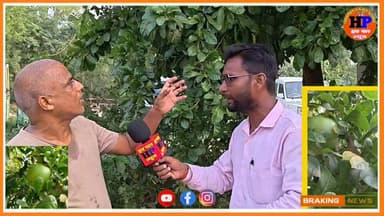 जमुई जिला में घर को बना दिया नर्सरी अब कद्दू पेड़ में फल देते हैं यह वीडियो चर्चा का विषय बना हुआ है सोशल मीडिया पर #viralvideo #trendingvideo #facebookviralvideo #facebookreelsviral #hpnewsjamui
