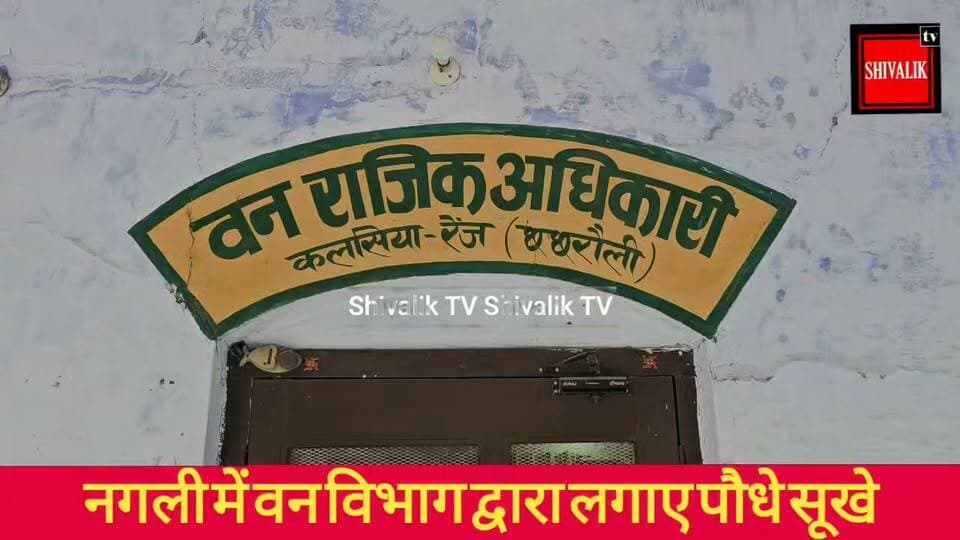 छछरौली वन विभाग द्वारा नगली 32 के कब्रिस्तान में लगाया फलदार बाग पानी की कमी से सूखा, ग्रामीणों ने मौक़े पर पहुंच विभाग के खिलाफ जताया रोष
#dcynr #cmoharyana #NayabSaini #hr71 #Sadora #jagadhri #YNR