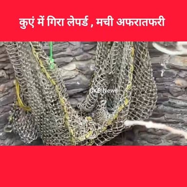 कुएं में गिरा लेपर्ड... भयंकर गुस्से में... किया गया रेस्क्यू... बाहर निकलते ही.....
#leopard #leopards
