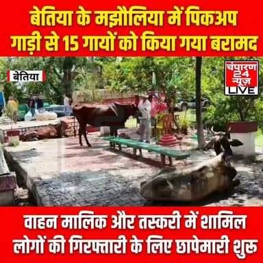 मझौलिया पुलिस ने गुप्त सूचना के आधार पर बड़ी कार्रवाई करते हुए 15 गायों से लदी एक पिकअप वैन को जब्त किया है। हालांकि पुलिस को देखकर चालक वाहन छोड़कर मौके से फरार हो गया। उसकी गिरफ्तारी के लिए पुलिस लगातार छापेमारी कर रही है। पुलिस निरीक्षक सह थानाध्यक्ष अमर कुमार ने बताया कि सूचना मिली थी कि एक पिकअप वाहन के जरिए अवैध रूप से गायों की तस्करी की जा रही है। सूचना के सत्यापन के बाद नानोसती चौक पुलिस चौकी के समीप सघन वाहन जांच अभियान चलाया गया। इसी दौरान संदिग्ध पिकअप (BR22GC7841) को रोकने का प्रयास किया गया, लेकिन चालक वाहन छोड़कर भाग निकला। वाहन की तलाशी लेने पर उसमें 15 गायें लदी मिलीं। पुलिस ने सभी गायों को सुरक्षित कब्जे में लेते हुए पिकअप को जब्त कर मझौलिया थाना लाया। गायों की देखभाल की व्यवस्था की गई है तथा उन्हें सुरक्षित स्थान पर रखने की प्रक्रिया जारी है। थानाध्यक्ष ने बताया कि मामले में संबंधित धाराओं के तहत प्राथमिकी दर्ज की जा रही है। वाहन के मालिक और तस्करी में शामिल अन्य लोगों की पहचान की जा रही है। फरार चालक की गिरफ्तारी के लिए लगातार छापेमारी जारी है। पुलिस ने स्पष्ट किया कि पशु तस्करी के खिलाफ अभियान आगे भी जारी रहेगा और इस अवैध कारोबार में शामिल किसी भी व्यक्ति को बख्शा नहीं जाएगा।
#districtpolicewestchamparan #champaran24news #viralreelschallenge #districtadministrationwestchamparan #CMBihar #viralvideochallenge #BettiahNews #BreakingNews