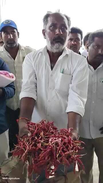 CF mirchi teja మధిర మార్కెట్ యార్డ్ ధరలు #chili #market