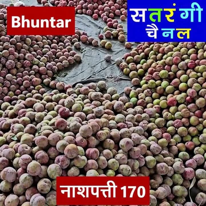 भुंतर और टकोली सब्ज़ी मंडी में आज दिनांक 2 जुलाई को फ़लों और सब्ज़ियों के थोक भाव इस प्रकार रहे |
#bhuntarsubzimandi #takolisubzimandi #bandrolsubzimandi #solansubzimandi #azadpursubzimandi