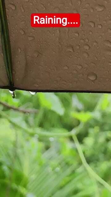 Kitna Sundar Hai ....???? #shorts #shortsfeed #trending #news #viral #trending #rain #Ayiomaa #news