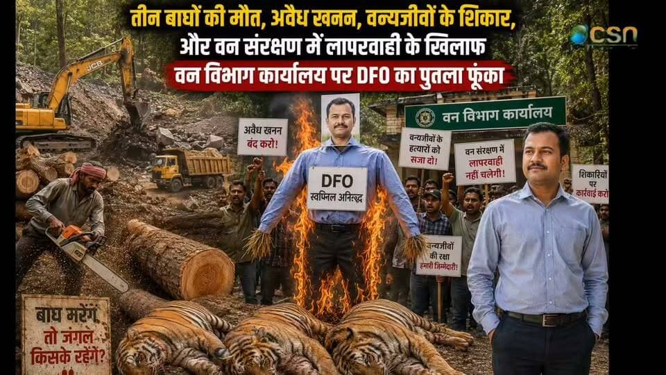 तीन बाघों की मौत, अवैध खनन,वन्यजीवों के शिकार और वन संरक्षण में लापरवाही के खिलाफ DFO का पुतला फूंका
#news #latestnews #city #breakingnews #citynews #hindinews #citylife #haridwar #uttarakhandnews #haridwarnews #forest #forestgaurd #wildlife #wildanimals #tigerreserve #tigerreserveforest #DFO