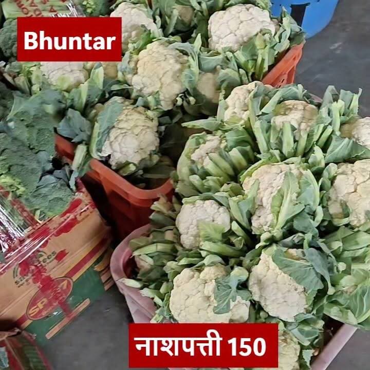 भुंतर और टकोली सब्ज़ी मंडी में आज दिनांक 3 जुलाई को फ़लों और सब्ज़ियों के थोक भाव इस प्रकार रहे |
#bhuntarsubzimandi #takolisubzimandi #bandrolsubzimandi #solansubzimandi #azadpursubzimandi
