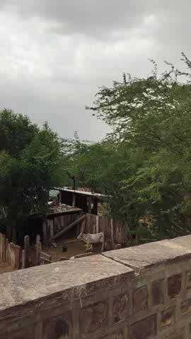 मौसम ने बदला मिजाज दिखी काली घटाएं, बालेसर क्षेत्र के आसपास गांव में मानसून बरसने की उम्मीदें बढ़ी किसानों के चेहरे खिले