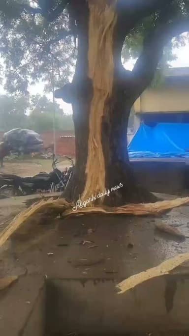 अलीगढ़ के थाना मडराक क्षेत्र के गांव पाली रजापुर में शुक्रवार सुबह करीब 11 बजे बारिश के दौरान नीम के पेड़ पर आकाशीय बिजली गिर गई। धमाका इतना तेज था कि पेड़ के परखच्चे करीब 200 मीटर दूर तक जा गिरे और कई मकानों के अंदर भी लकड़ी के टुकड़े पहुंच गए। घटना के समय बारिश होने से पेड़ के नीचे कोई मौजूद नहीं था, जिससे बड़ा हादसा टल गया। घटना के बाद पूरे गांव में दहशत का माहौल है।
#Trending
#LightningStrike #Aligarh #WeatherAlert #BreakingNews #IndiaNews
