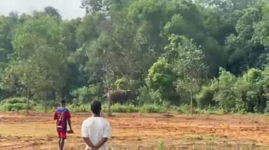 जंगल से निकला हाथी, दौड़ लगाते दिखे लोग
#ElephantAttack #WildlifeAlert #JharkhandNews #VillagePanic #BreakingNews #WildAnimal #ForestNews #HathiKaDarr #RuralNews #CurrentNews