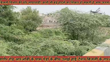 #बिजली_विभाग_की_घोर_लापरवाही_कभी_भी_बड़े_हादसे_का #शिकार_हो_सकती_है_आम_जनता_पेड़ों_की_बीच_बिजली_तार
#bijali #vibhag #ki #ghor #laparwahi #kabhi #bhi #bade #hadse #ka #shikar #ho #sakti #he #aam #janta #pedo #ki #bich #bijali #taar #news #didwanajila