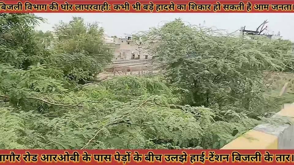 #बिजली_विभाग_की_घोर_लापरवाही_कभी_भी_बड़े_हादसे_का #शिकार_हो_सकती_है_आम_जनता_पेड़ों_की_बीच_बिजली_तार
#bijali #vibhag #ki #ghor #laparwahi #kabhi #bhi #bade #hadse #ka #shikar #ho #sakti #he #aam #janta #pedo #ki #bich #bijali #taar #news #didwanajila