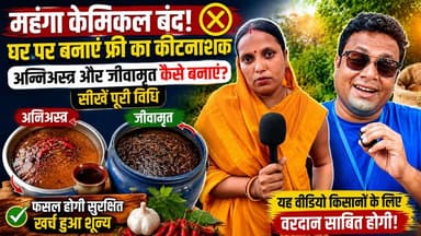 केमिकल वाली खेती छोड़ अपनाएं यह तरीका! महिला किसान ने बताया घर पर फ्री में कीटनाशक बनाने का सीक्रेट 🌾 Purnea Khabar
#JaivikKheti #Agniastra #Jeevamrut
बिहार के पूर्णिया जिले की रहने वाली द्रौपदी देवी आज दूसरी महिलाओं और किसानों के लिए प्रेरणा बन चुकी हैं।
पूर्णिया खबर की इस खास रिपोर्ट में देखिए कि कैसे वह बीआरसी में काम करने के साथ-साथ जैविक खेती को बढ़ावा दे रही हैं।
उन्होंने इस वीडियो में रासायनिक कीटनाशकों के विकल्प के रूप में घर पर ही बेहद असरदार प्राकृतिक दवाएं जैसे अग्निअस्त्र, जीवामृत और निम्शास्त्र बनाने का पूरा फॉर्मूला शेयर किया है।
गौमूत्र, नीम के पत्ते, गाय के गोबर, बेसन और गुड़ जैसी घरेलू चीजों से तैयार होने वाली ये दवाएं फसलों को हर तरह के कीड़ों से बचाती हैं और मिट्टी की उपजाऊ शक्ति बढ़ाती हैं।
महंगे केमिकल पर पैसे खर्च करने के बजाय इस आसान स्वदेशी तकनीक को अपनाएं। पूरा तरीका जानने के लिए वीडियो को अंत तक देखें और दूसरे किसान भाइयों के साथ शेयर करना न भूलें।
किसान विवरण: द्रौपदी देवी, हासी बेगमपुर पंचायत, जलालगढ़, पूर्णिया (बिहार)। संपर्क: 9955581042