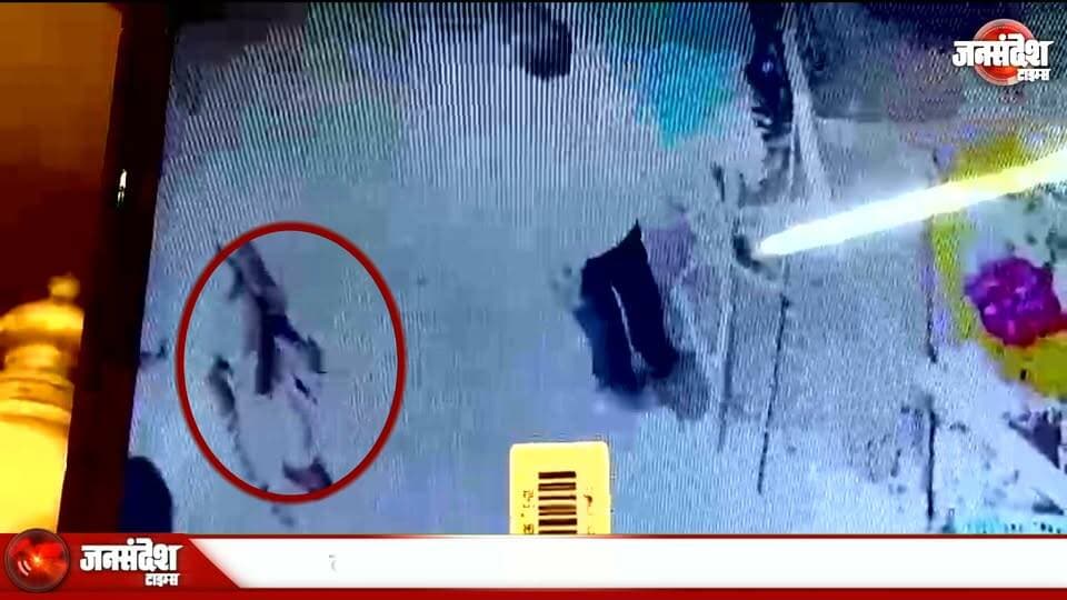 वाराणसी: काशी विश्वनाथ मंदिर गेट के पास सिपाही की कार्बाइन से चली गोली, 3 लोग घायल
#KashiVishwanath #VaranasiNews #GoliChali #CarbineAccident #NanduFariya #KashiGate #VaranasiPolice #TempleGate #FiringNews #AccidentalFire #VaranasiBreaking #KashiNews #UPPolice #Ghaayal #MandaliyaHospital #ChaukThana #PoliceJanch #VaranasiUpdate #BanarasNews #TempleSecurity #UPNews #PurvanchalNews #KashiVishwanathMandir #LawAndOrder #CrimeNews #PoliceLaparwahi #VaranasiZila #PublicSafety #VaranasiIncident #KashiAlert