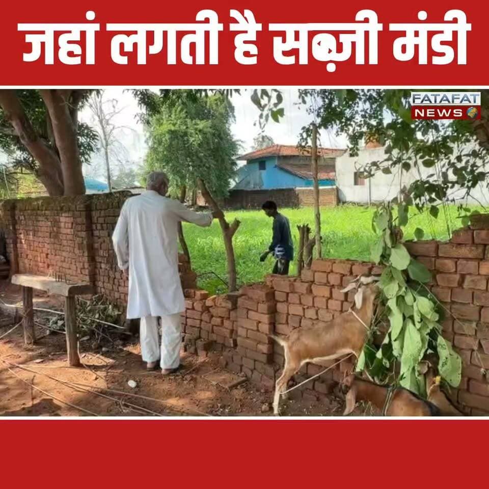 छत्तीसगढ़ में बलरामपुर जिले के वाड्रफनगर में उस समय भारी अफरा-तफरी मच गई, जब एक विशालकाय जंगली हाथी घनी आबादी वाले मुख्य बाजार क्षेत्र में घुस आया। जिस मुख्य चौक पर सुबह से लेकर देर रात तक सब्जी मंडी सजती है और लोगों की भारी चहल-पहल रहती है, वहां हाथी को देखकर नागरिकों में दहशत फैल गई। मुख्य मार्ग से होते हुए हाथी रिहायशी कॉलोनियों में जा घुसा, जहां उसने कई घरों की बाउंड्री वॉल और बाड़ियों को तोड़कर भारी उत्पात मचाया।
हाथी के शहर के बीचों-बीच आ जाने से पूरे नगर में सन्नाटा पसरा हुआ है। घटना की गंभीरता को देखते हुए वन विभाग की टीम तुरंत एक्शन में आई और पूरे इलाके में मुनादी (ढिंढोरा) पिटवाकर लोगों को अलर्ट किया। वन विभाग ने स्थानीय निवासियों से सुरक्षा की खातिर घरों के भीतर रहने की अपील की है। साथ ही सख्त हिदायत दी है कि कोई भी व्यक्ति हाथी को उकसाने या उसके पास जाकर सेल्फी लेने का जोखिम कतई न उठाए।
#ChhattisgarhNews #Balrampur #ElephantAttack #WildElephant #Wadrafnagar #ChhattisgarhForestdepartment #BreakingNews #ElephantInCity #Alert #ViralVideo #FatafatNews