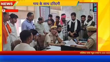 #हनुमानगढ़ गाय के साथ कुकर्म, दोषी के खिलाफ कड़ी कार्रवाई की मांग, वीडियो वायरल