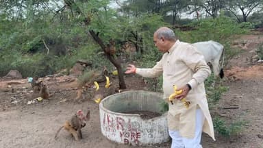 सूरजकुंड में विधायक एवं पूर्व कैबिनेट मंत्री पं. मूलचंद शर्मा ने बंदरों को केले वितरित कर दिया जीव सेवा का संदेश
फरीदाबाद Aonenews अरविन्द बक्शी
हरियाणा के पूर्व कैबिनेट मंत्री एवं बल्लभगढ़ के विधायक पंडित मूलचंद शर्मा ने मंगलवार को सूरजकुंड क्षेत्र में बंदरों को केले वितरित कर जीवों के प्रति करुणा, संवेदनशीलता और सेवा का संदेश दिया। इस अवसर पर उन्होंने कहा कि भारतीय संस्कृति में प्रत्येक जीव के प्रति दया और संरक्षण की भावना को विशेष महत्व दिया गया है। मानवता तभी सार्थक होती है जब हम प्रकृति और वन्य जीवों के प्रति भी अपनी जिम्मेदारियों का निर्वहन करें।
विधायक पं. मूलचंद शर्मा ने स्वयं अपने हाथों से बंदरों को केले खिलाए और उपस्थित लोगों से भी अपील की कि वे समय-समय पर पशु-पक्षियों के लिए भोजन और पानी की व्यवस्था करें। उन्होंने कहा कि गर्मी और बदलते मौसम में वन्य जीवों को भोजन और पानी की कमी का सामना करना पड़ता है, ऐसे में समाज के प्रत्येक व्यक्ति को आगे आकर उनकी सहायता करनी चाहिए।
#BJPNEWS
#bjpminister
#Moolchand