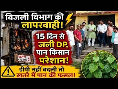 बिजली विभाग की लापरवाही! 15 दिन से जली डीपी, पान किसान परेशान #bijalivibhag #paan_kisan #kukdeshwar