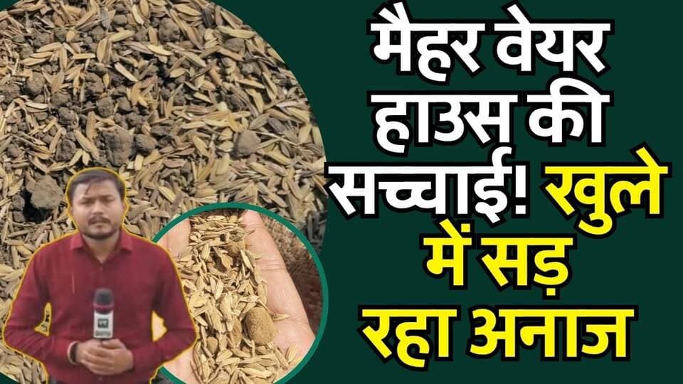 करोड़ों का अनाज बारिश में बर्बाद, जिम्मेदार कौन? देखिए GROUND REPORT
#Maihar #FoodGrainScam #GrainStorage #FoodSecurity #MPNews #GroundReport #BreakingNews #Exclusive #Corruption #RainDamage #Farmers #GovernmentGrain #Warehouse #PublicInterest #Accountability #MadhyaPradesh #NewsUpdate #Investigation #FoodGrain #JusticeForFarmers