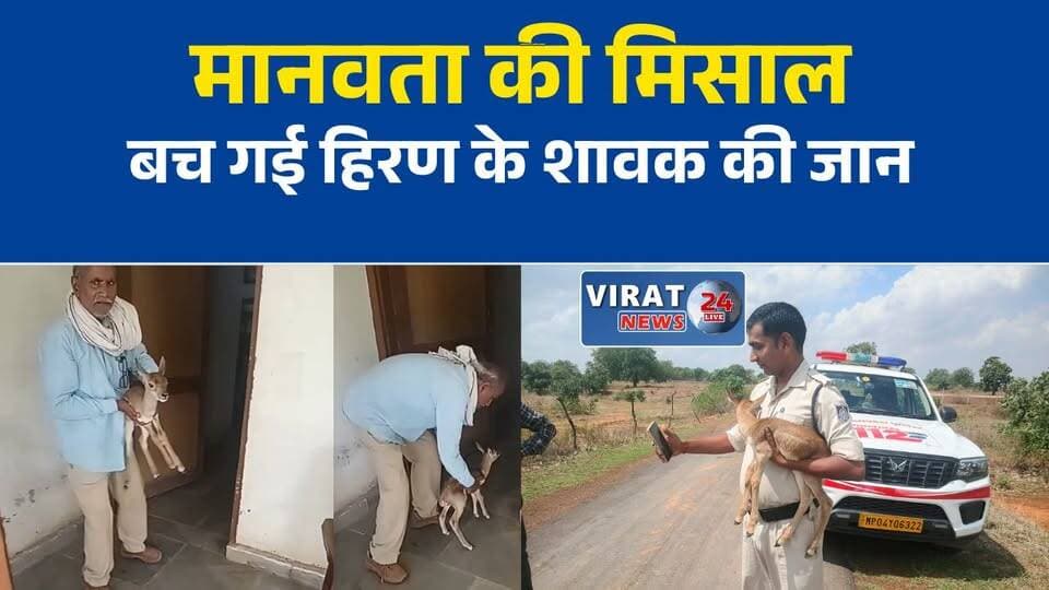 मऊगंज में ग्रामीणों और पुलिस ने बचाई हिरण के शावक की जान
मां से बिछड़े हिरण के शावक को सुरक्षित वन विभाग के सुपुर्द किया गया
डायल-112 की तत्परता से बचा बेजुबान वन्यजीव, क्षेत्र में हो रही सराहना
कुत्तों के हमले से हिरण के शावक को बचाया, पुलिस ने निभाई अहम भूमिका
मानवता की मिसाल: मऊगंज में हिरण के शावक का सुरक्षित रेस्क्यू#Mauganj #Hanumana #WildlifeRescue #Deer #ForestDepartment #Dial112 #MPPolice #GoodNews #MadhyaPradesh #MPNews #BreakingNews #HindiNews #AnimalRescue #NewsUpdate #Humanity