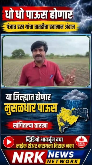 पंजाब डख - हवामान अंदाज लाईव्ह या जिल्ह्यात होणार मुसळधार पाऊस व्हिडिओ आवर्जून बघा...