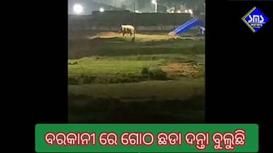 SMS News Bureau Bondamunda
ସଂପ୍ରତି ବରକାନୀ ରେ ଆରଏସପି ସଂପ୍ରସାରଣ ନେଇ ପାଚେରୀ ନିର୍ମାଣ କାର୍ଯ୍ୟ ଚାଲିଛି। ରାତି ରେ ମଧ୍ୟ ପୋଲିସ,ସିଆରପିଏଫ୍ ଙ୍କ ସହ ଇସ୍ପାତ କାରଖାନା ର ଅଗ୍ନିଶମ ଓ ବିଭାଗୀୟ କର୍ମଚାରୀ ପଇଁତାରା ମାରୁଛନ୍ତି। ଆଜି ରାତି ୧୧ଟା ସମୟରେ ଏକ ଗୋଠ ଛଡା ଦନ୍ତା ବରକାନୀ ନିର୍ମାଣଧିନ ପାଚେରୀ ନିକଟରେ ବୁଲୁଥିବା ନଜର କୁ ଆସିଥିଲା।
#smsnewsnetwork #rourkela #bondamunda #barkani #RSP #expansion #tusker #townservices