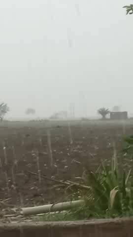 आरोन रुसल्ली खुर्द गांव में हुई भारी बारिश,