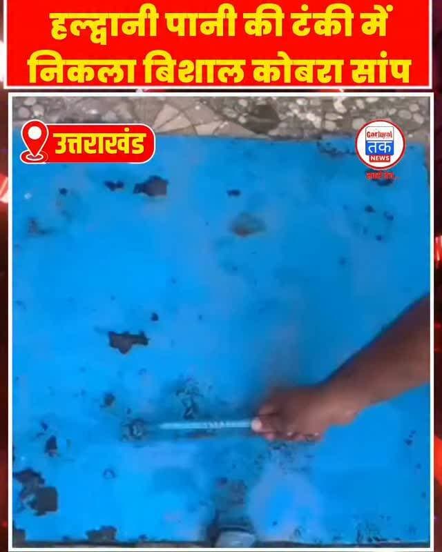 ⚠️ मानसून में रहें सतर्क!
हल्द्वानी के हल्दूचौड़ स्थित जग्गीबंगर में एक घर की पानी की टंकी से करीब 6 फीट लंबा ब्लैक कोबरा मिलने से इलाके में हड़कंप मच गया। मकान मालिक की सूझबूझ और वन विभाग की त्वरित कार्रवाई से बड़ा हादसा टल गया।
बरसात के मौसम में सांप घरों, पानी की टंकियों, स्टोर रूम और झाड़ियों में छिप सकते हैं। यदि कहीं सांप दिखाई दे तो उसे पकड़ने की कोशिश न करें, तुरंत वन विभाग या संबंधित अधिकारियों को सूचना दें।
इस महत्वपूर्ण जानकारी को अपने परिवार और दोस्तों के साथ जरूर साझा करें ताकि सभी मानसून में सतर्क रहें।
#Haldwani #BlackCobra #MonsoonAlert #Uttarakhand #SnakeRescue RainySeason GarhwalTak.