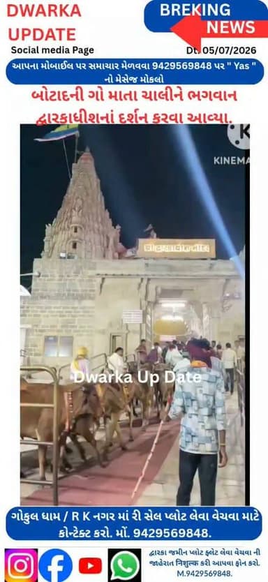 ભગવાન શ્રી દ્વારકાધીશ ગોકુળ મથુરા છોડી દ્વારકા આવ્યો ત્યારે તેમની સૌ થી પ્રિય ગૌ માતાઓ પણ સાથે દ્વારકા આવી હતી...
આજે હજારો વર્ષો બાદ પણ દ્વારકાધીશ ને વ્હાલ કરવા ગૌ માતાઓ દ્વારકા ચાલી ને આવે છે.આજે બોટાદ થી અનેક ગૌ માતાઓ ચાલીને ભગવાન દ્વારકાધીશ ના દર્શન કરવા આવ્યા અને સ્થાનિક તંત્ર દ્વારા જંગત મંદિરના યાત્રિકોના દર્શન બાદ ગૌ માતાઓ માટે ખાસ દર્શનની સુવિધાઓ પૂર્ણ કરવામાં આવી હતી.
આપના અમૂલ્ય મંતવ્યો આવકાર્ય છે.
Dwarka Up Date@9429569848.
દ્વારકા અને આજુબાજુના મહત્વના સમાચારો નિહાળવા માટે અમારા પેજ ને ફોલો કરી લાઈક સેર અને સબસ્ક્રાઈબ કરવાનું ચૂકશો નહીં.