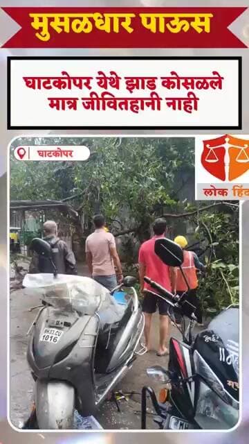 घाटकोपर मधील रामनगर येथे झाड कोसळले मात्र जीवितहानी नाही