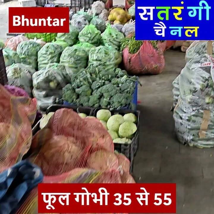 भुंतर और टकोली सब्ज़ी मंडी में आज दिनांक 5 जुलाई को सब्ज़ियों और फ़लों के थोक भाव इस प्रकार रहे | देखें वीडियो....
#bhuntarsubzimandi #takolisubzimandi #satrangichannel