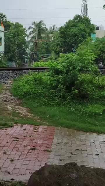 rimjhimbaris#odishanews #news #odishalabakuasajanma #baripada #funny #amnewbutnottheleast