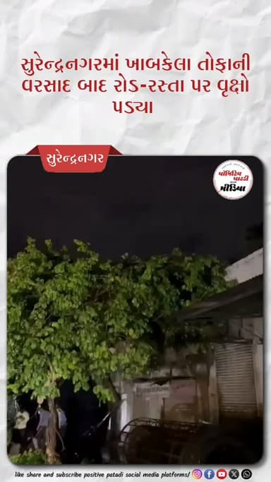 સુરેન્દ્રનગર માં રાત્રે ખાબકેલા તોફાની વરસાદ બાદ રોડ-રસ્તા પર વૃક્ષો પડ્યા
#positivepatdi #surendranagar #raindisaster #trees #trending
